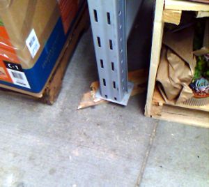 Pallet rack shimmed with pieces of wood, not anchored.